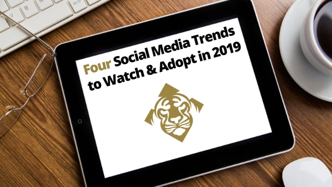Fallston Group | Four Social Media Trends to Watch & Adopt in 2019